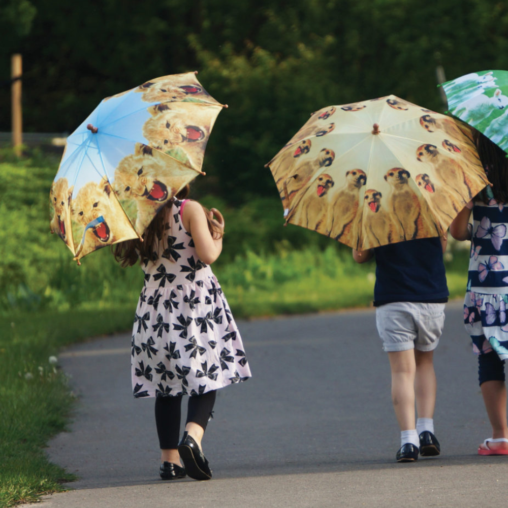 Load image into Gallery viewer, ESSCHERT DESIGN Children&#39;s &#39;Out of Africa&#39; Umbrella - Lion