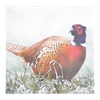 ESSCHERT DESIGN Paper Napkins Large 20pk - Pheasant