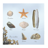 ESSCHERT DESIGN Paper Napkins Large 20pk - Beach