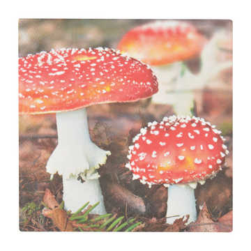 ESSCHERT DESIGN Paper Napkins Large 20pk - Toadstool & Leaves