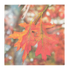 ESSCHERT DESIGN Paper Napkins Large 20pk - Toadstool & Leaves