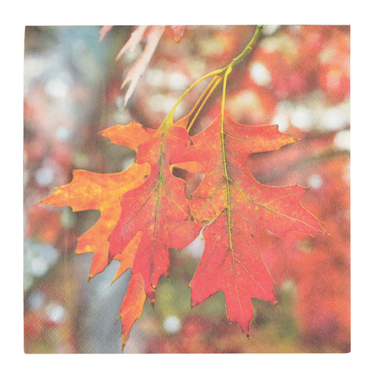 ESSCHERT DESIGN Paper Napkins Large 20pk - Toadstool & Leaves