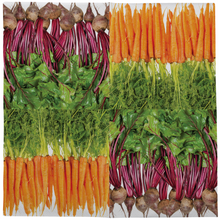 Load image into Gallery viewer, ESSCHERT DESIGN Paper Napkins 20pk - Vegetables