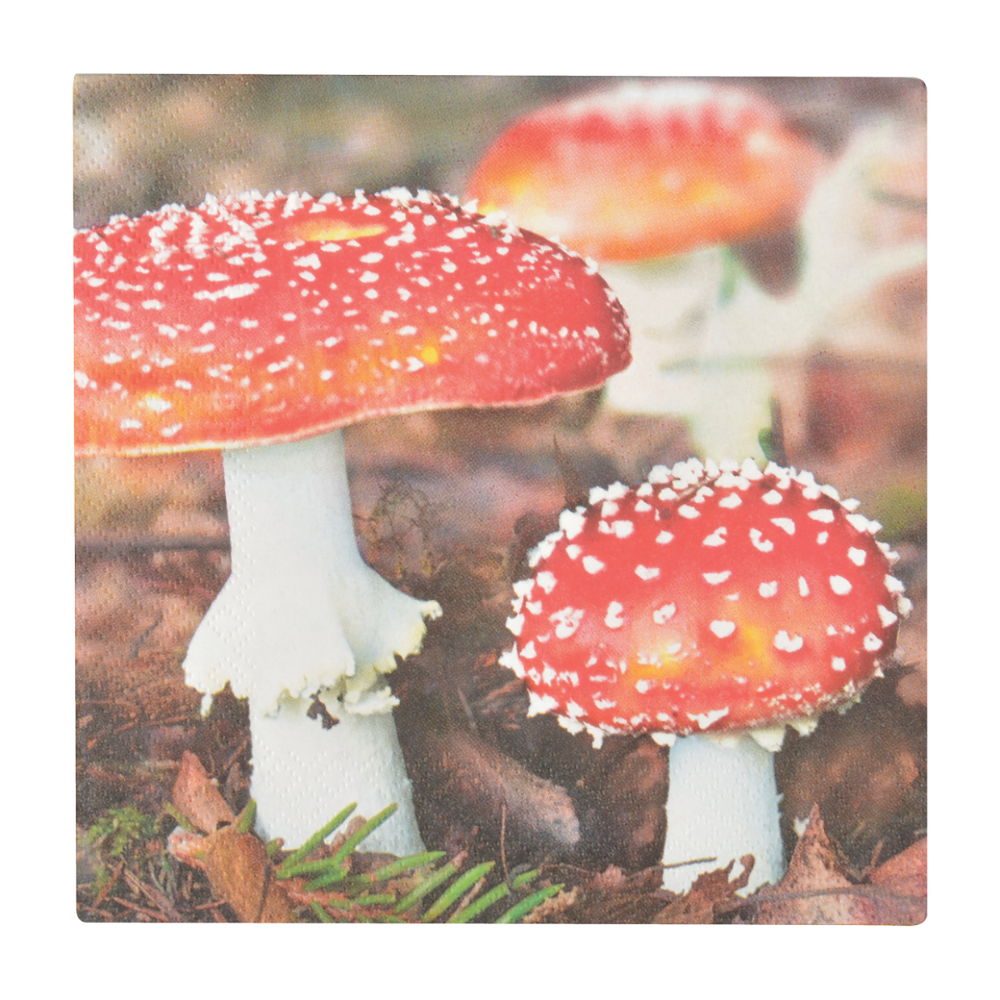 Load image into Gallery viewer, ESSCHERT DESIGN Paper Napkins 20pk - Toadstool &amp; Leaves