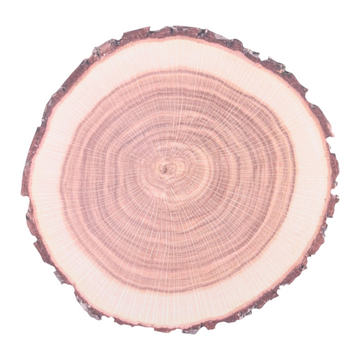ESSCHERT DESIGN Paper Place Mats 10pk - Tree