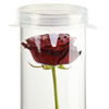 ESSCHERT DESIGN Silicone Cap To Suit Submerged Flower Vase **Limited Stock**
