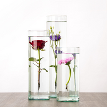 Load image into Gallery viewer, ESSCHERT DESIGN Tall Submerged Flower Vase - Small