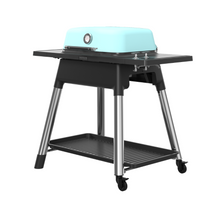 Load image into Gallery viewer, EVERDURE BY HESTON BLUMENTHAL Force™ Gas Barbeque - Mint