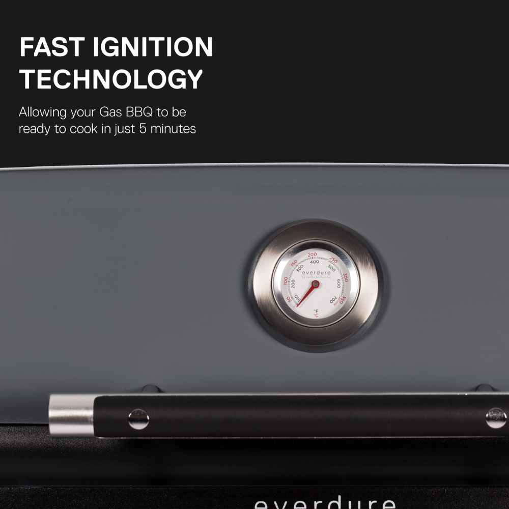 Load image into Gallery viewer, EVERDURE BY HESTON BLUMENTHAL Force™ Gas Barbeque - Stone