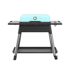Load image into Gallery viewer, EVERDURE BY HESTON BLUMENTHAL Furnace™ Gas Barbeque - Mint