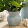 FLAX Amity Vase 11cm