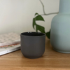 FLAX Water Cup 8cm