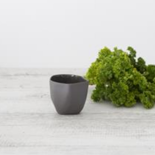 FLAX Tea Cup 5.5cm