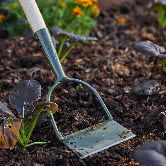 BURGON & BALL BoronGreen Dutch Hoe - RHS Endorsed