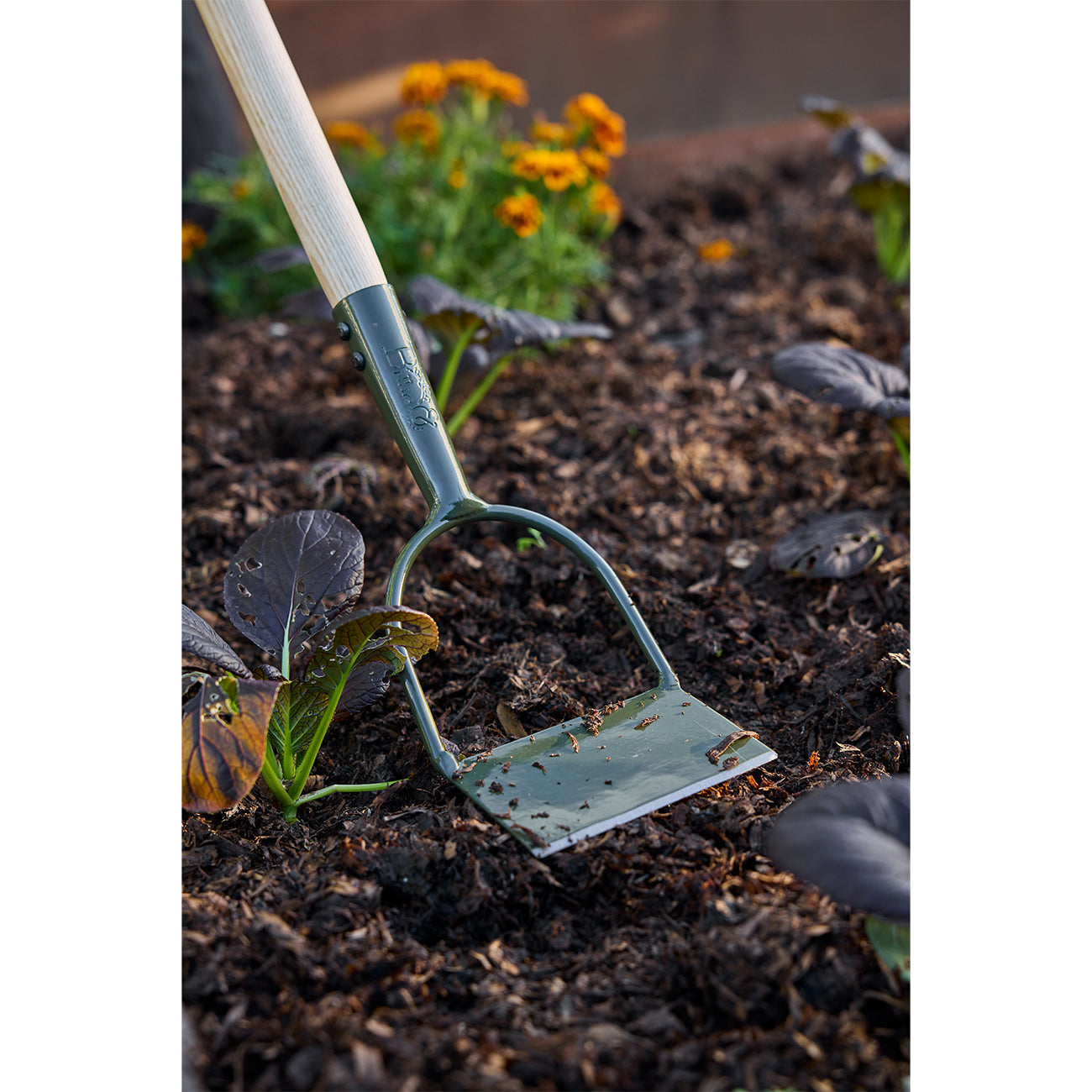 Load image into Gallery viewer, BURGON &amp; BALL BoronGreen Dutch Hoe - RHS Endorsed