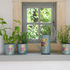 BURGON & BALL Herb Pots - RHS Gift Collection