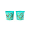 BURGON & BALL Herb Pots - RHS Gift Collection