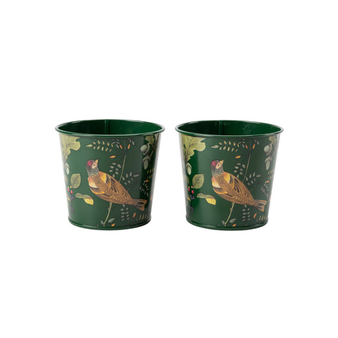 BURGON & BALL Herb Pots - RHS Gift Collection