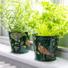 BURGON & BALL Herb Pots - RHS Gift Collection