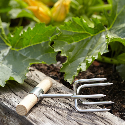 SOPHIE CONRAN Twist Claw Cultivator in a Gift Box