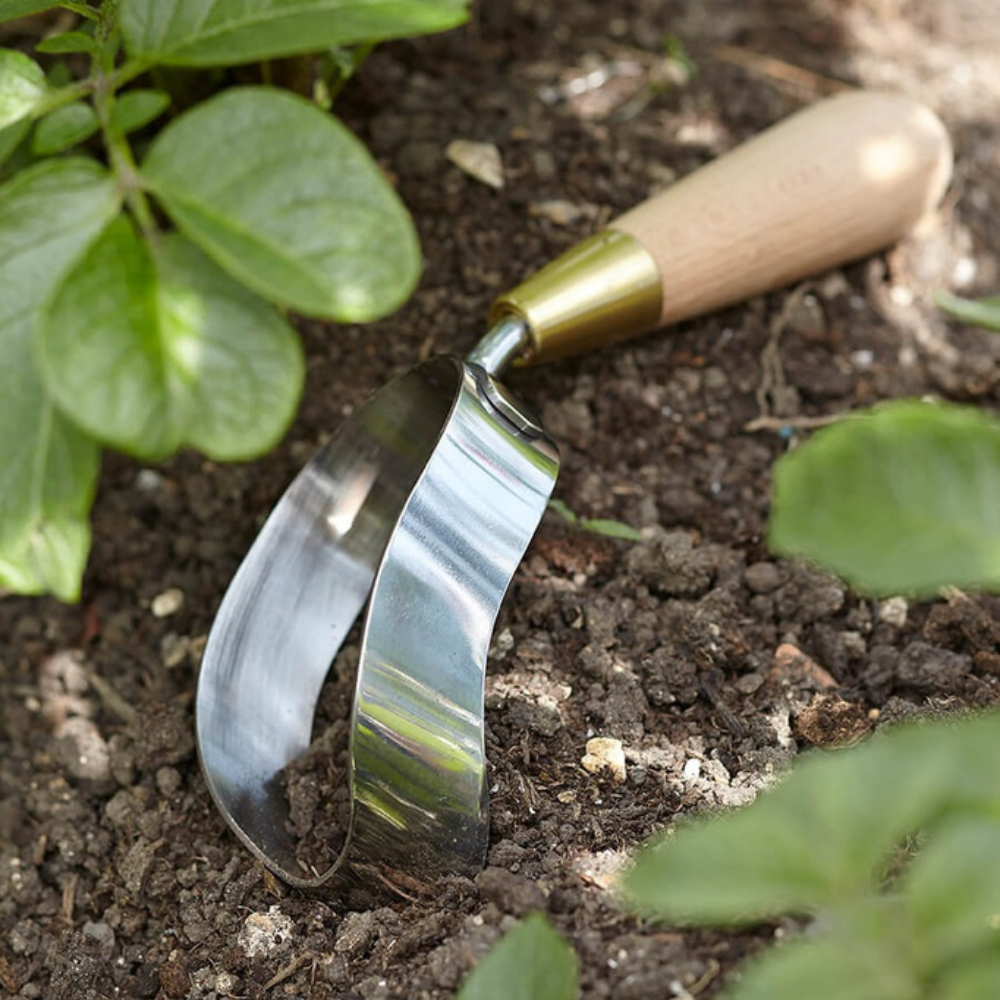 Load image into Gallery viewer, SOPHIE CONRAN Ergo Hoe in a Gift Box