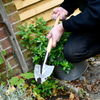 BURGON & BALL Perennial Spade - RHS Endorsed