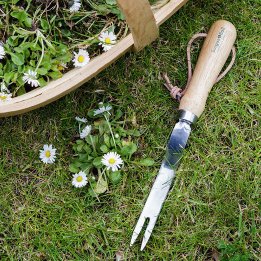 BURGON & BALL Daisy Grubber - Stainless. RHS Endorsed
