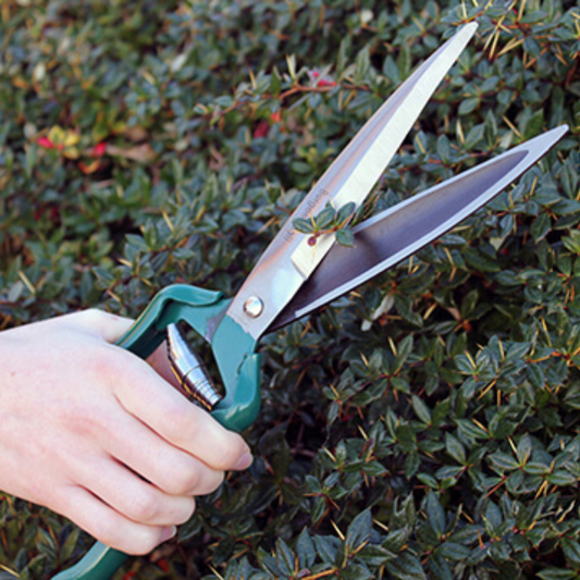 BURGON & BALL Garden Shrub Shear - RHS Endorsed