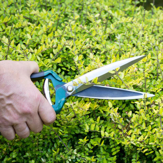 BURGON & BALL Garden Shrub Shear - RHS Endorsed