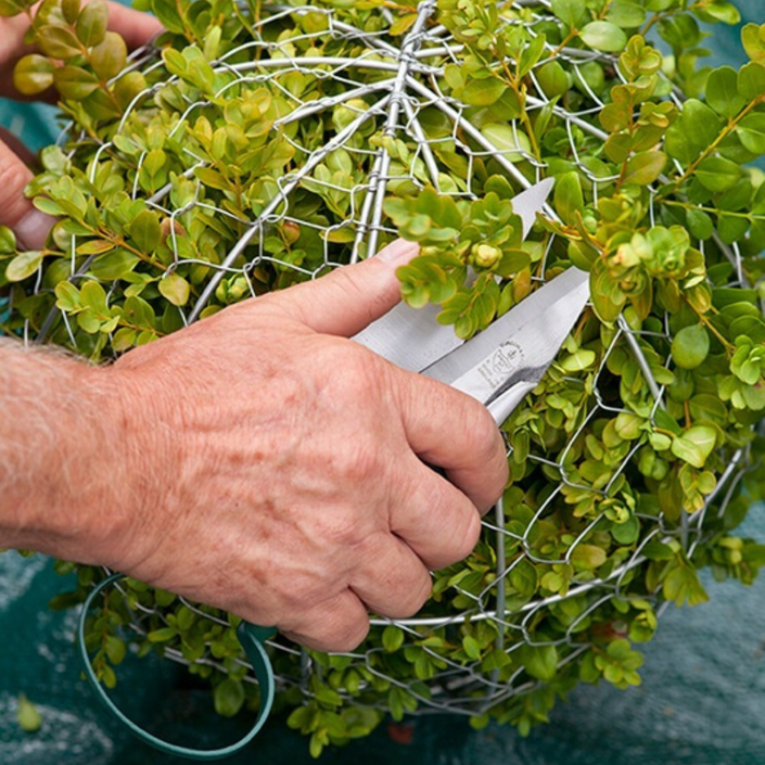 BURGON & BALL Topiary Garden Trimming Shears - Small