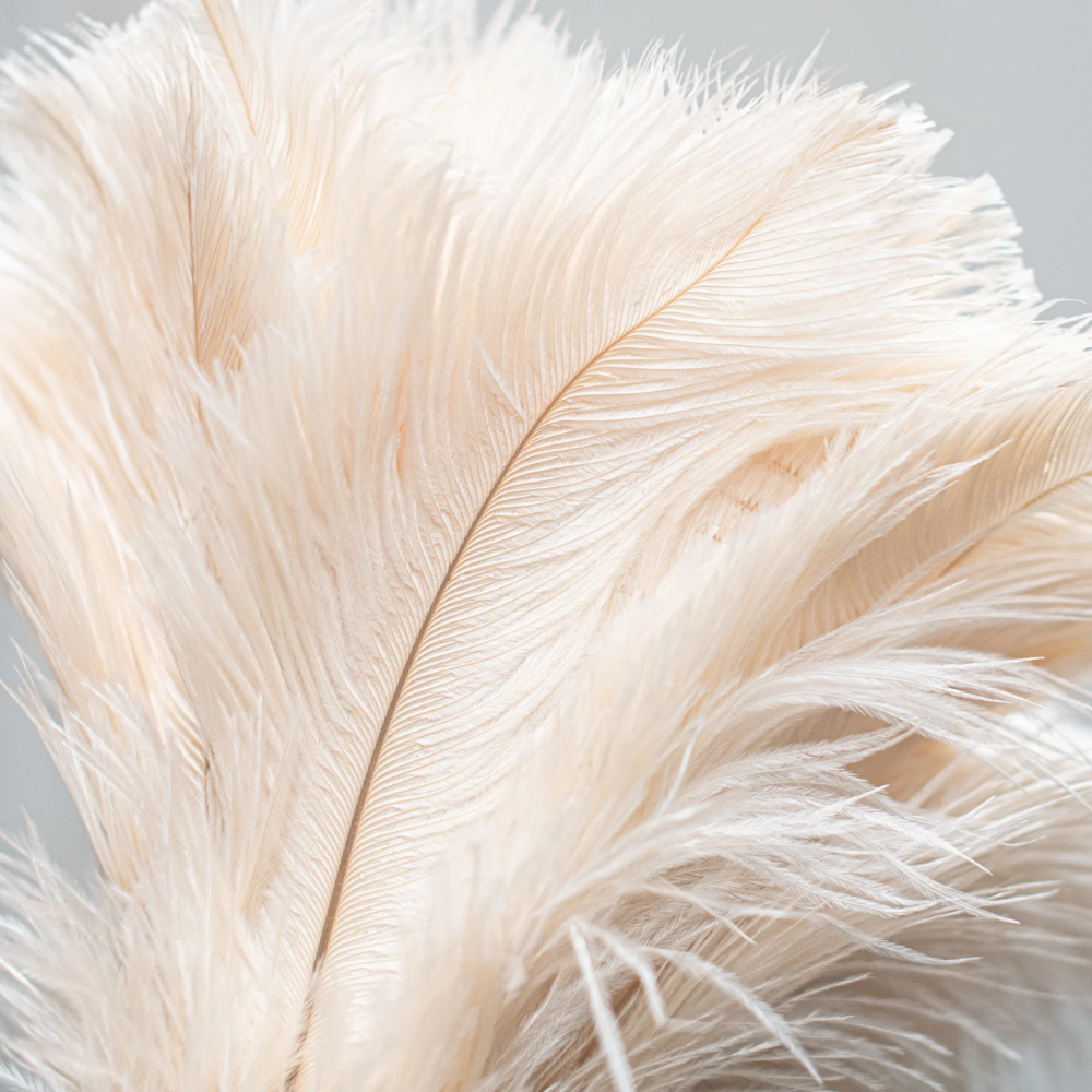 Load image into Gallery viewer, HEAVEN IN EARTH Feather Duster 350mm - Cream