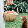 MARTHA’S VINEYARD Wicker Bushel Baskets - Set of 3