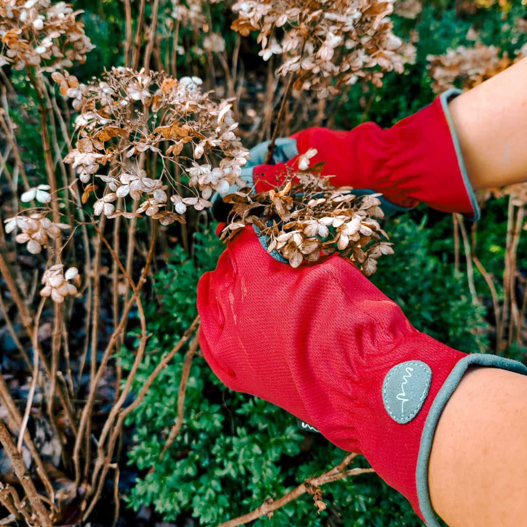 Load image into Gallery viewer, Martha&#39;s Vineyard Glove &#39;The Original&#39; - Waratah - Medium