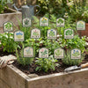 MARTHA'S VINEYARD Herb Garden Labels (Green & Cream)