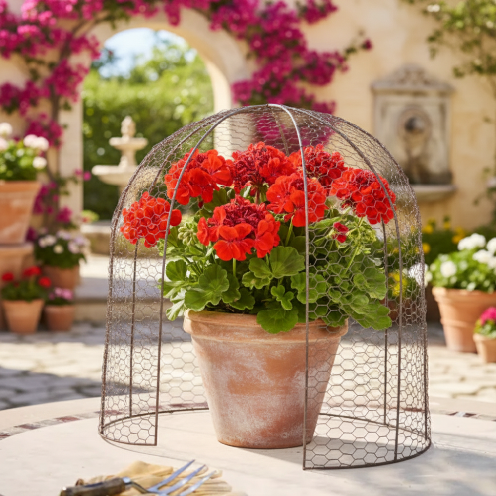 Load image into Gallery viewer, MARTHA&#39;S VINEYARD 41cm Cloche Dome Large