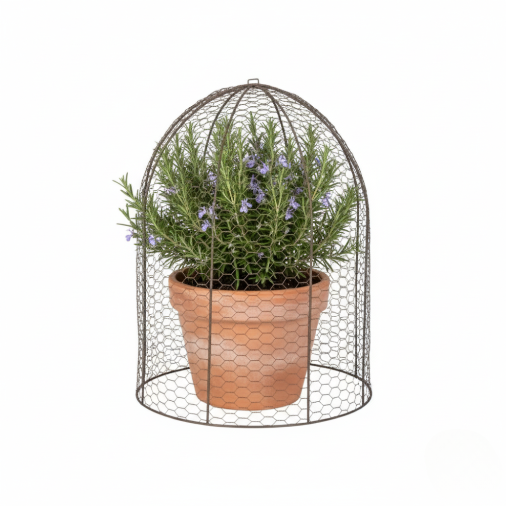 Load image into Gallery viewer, MARTHA&#39;S VINEYARD 41cm Cloche Dome Large