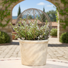 MARTHA'S VINEYARD Wire Ball Topiary