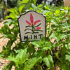 MARTHA'S VINEYARD Herb Garden Labels (White & Black) - Set of 8