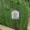 MARTHA'S VINEYARD Herb Garden Labels (White & Black) - Set of 8