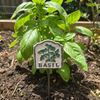 MARTHA'S VINEYARD Herb Garden Labels (White & Black) - Set of 8