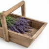 MARTHA'S VINEYARD Recycled Timber Trug