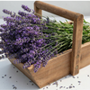 MARTHA'S VINEYARD Recycled Timber Trug