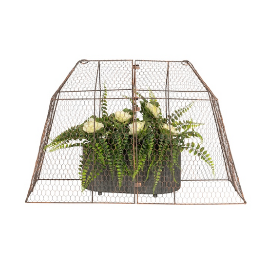 A rustic wire cloche covering a potted plant, with a brown powder-coated finish and a copper brush texture.