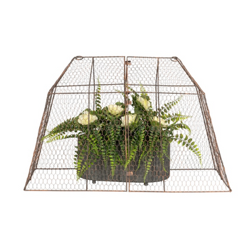 A rustic wire cloche covering a potted plant, with a brown powder-coated finish and a copper brush texture.