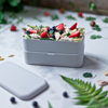 MONBENTO Original Lunchbox - Cotton