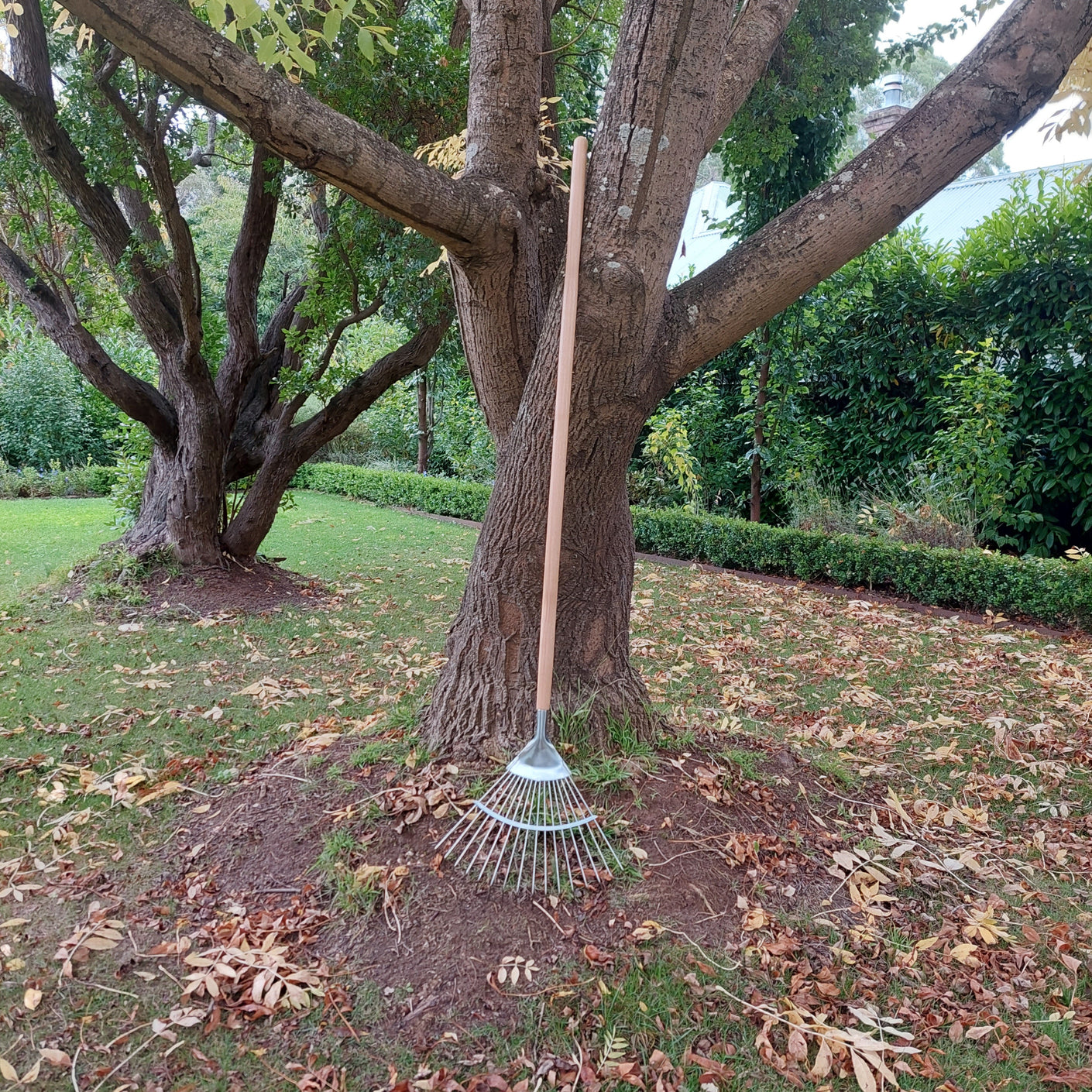 Load image into Gallery viewer, MARTHA&#39;S VINEYARD Leaf Rake - Stainless Steel