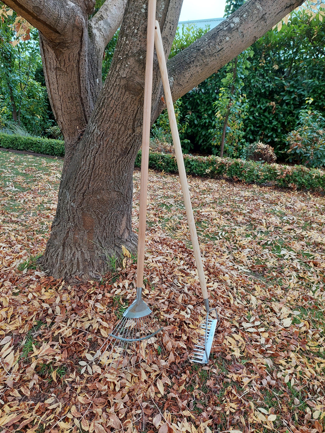 Load image into Gallery viewer, MARTHA&#39;S VINEYARD Soil Rake - Stainless Steel