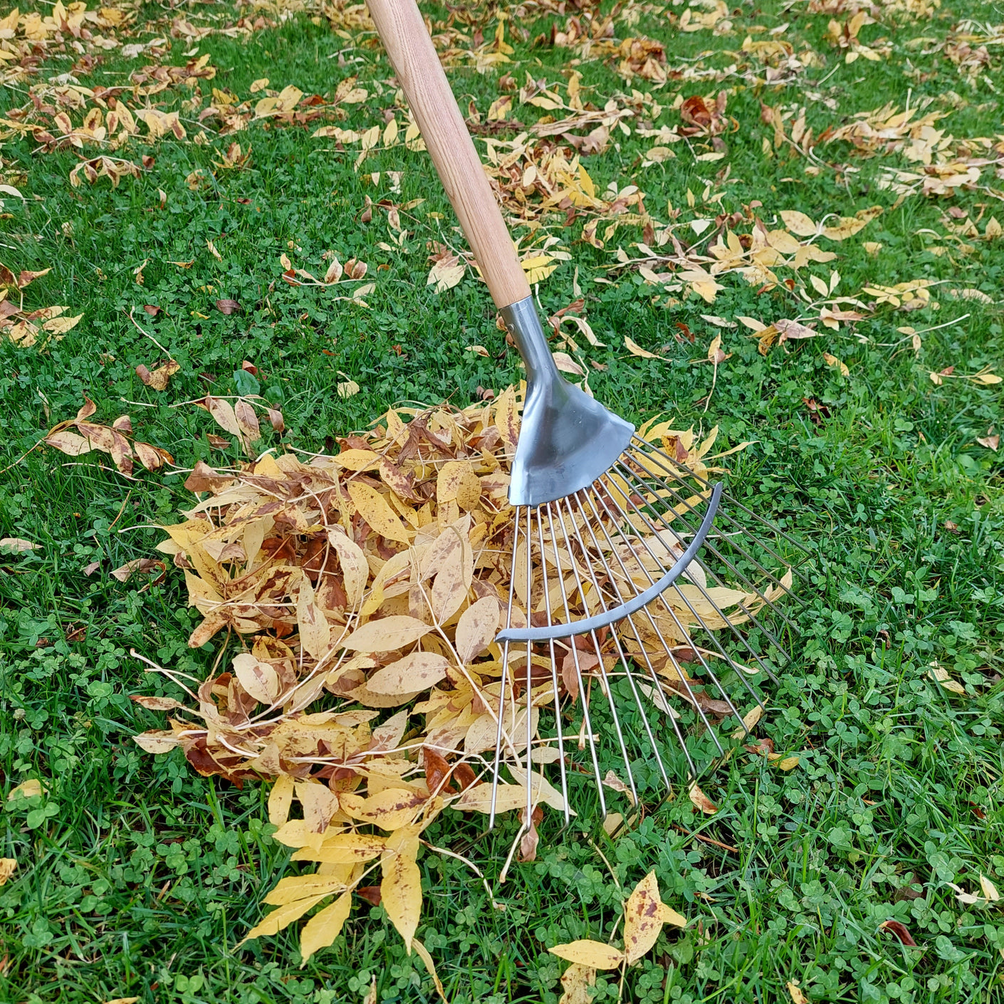 Load image into Gallery viewer, MARTHA&#39;S VINEYARD Leaf Rake - Stainless Steel