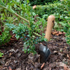 MARTHA'S VINEYARD Hand Trowel - Stainless Steel