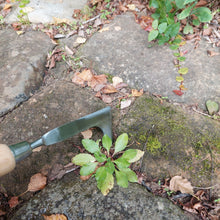 Load image into Gallery viewer, MARTHA&#39;S VINEYARD Crevice Weeder - Stainless Steel